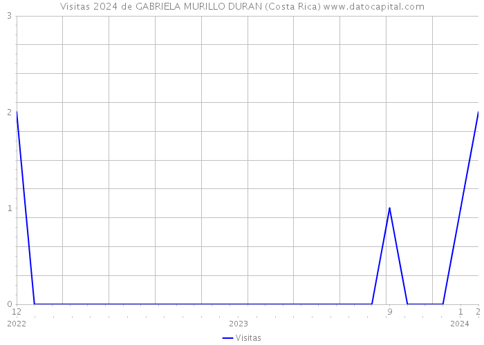 Visitas 2024 de GABRIELA MURILLO DURAN (Costa Rica) 
