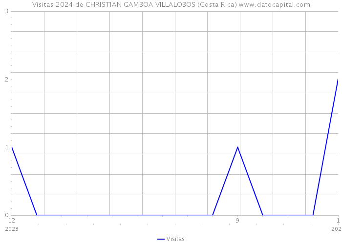 Visitas 2024 de CHRISTIAN GAMBOA VILLALOBOS (Costa Rica) 
