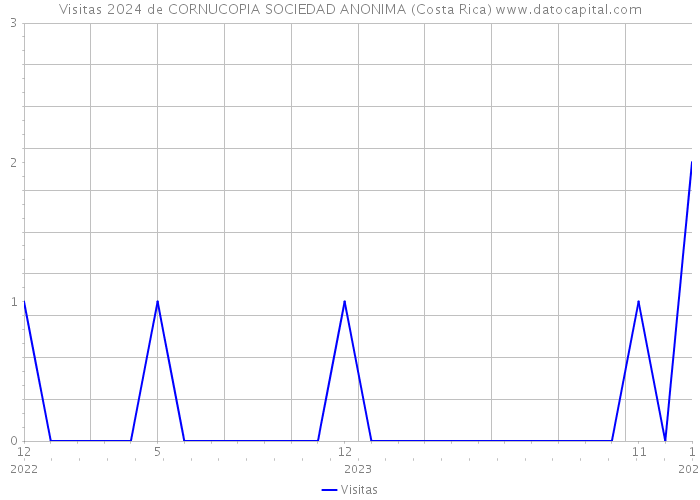 Visitas 2024 de CORNUCOPIA SOCIEDAD ANONIMA (Costa Rica) 