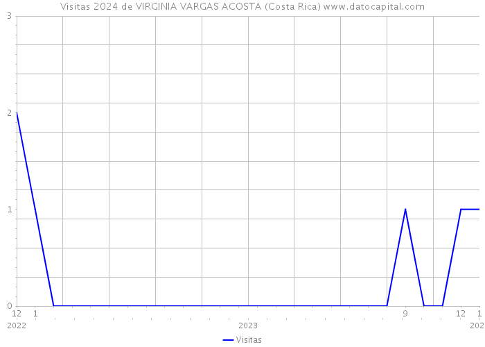 Visitas 2024 de VIRGINIA VARGAS ACOSTA (Costa Rica) 