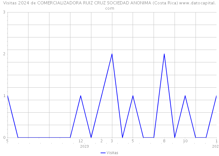 Visitas 2024 de COMERCIALIZADORA RUIZ CRUZ SOCIEDAD ANONIMA (Costa Rica) 