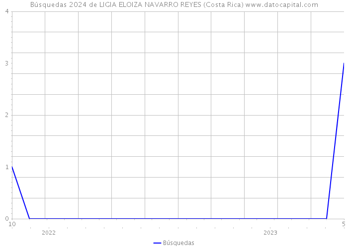 Búsquedas 2024 de LIGIA ELOIZA NAVARRO REYES (Costa Rica) 