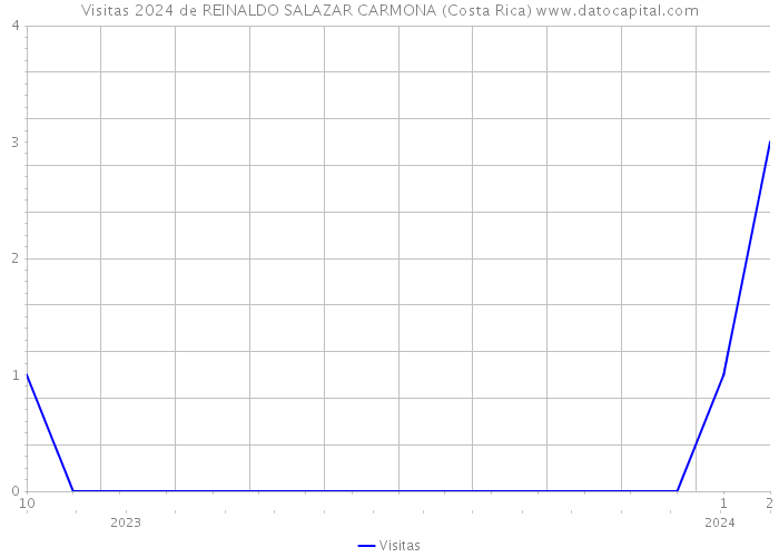 Visitas 2024 de REINALDO SALAZAR CARMONA (Costa Rica) 