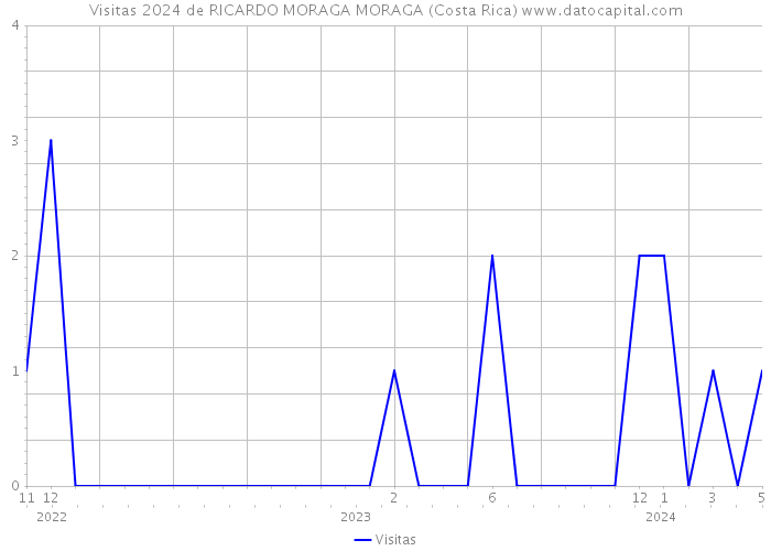 Visitas 2024 de RICARDO MORAGA MORAGA (Costa Rica) 
