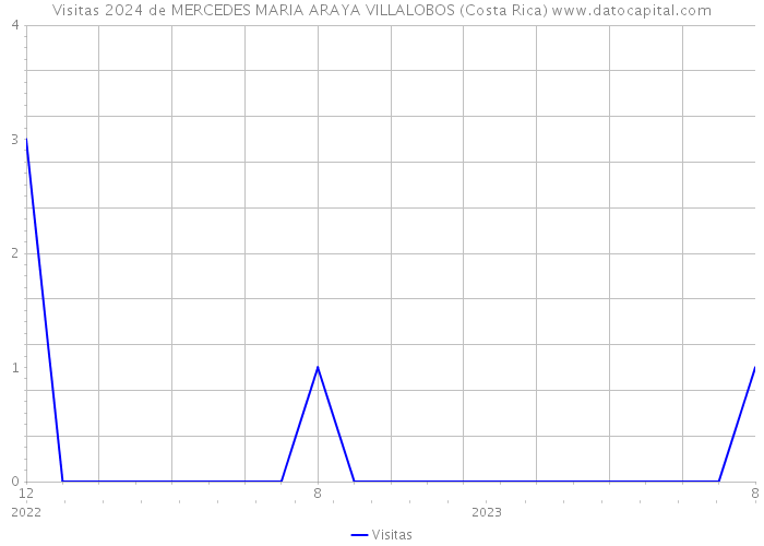 Visitas 2024 de MERCEDES MARIA ARAYA VILLALOBOS (Costa Rica) 