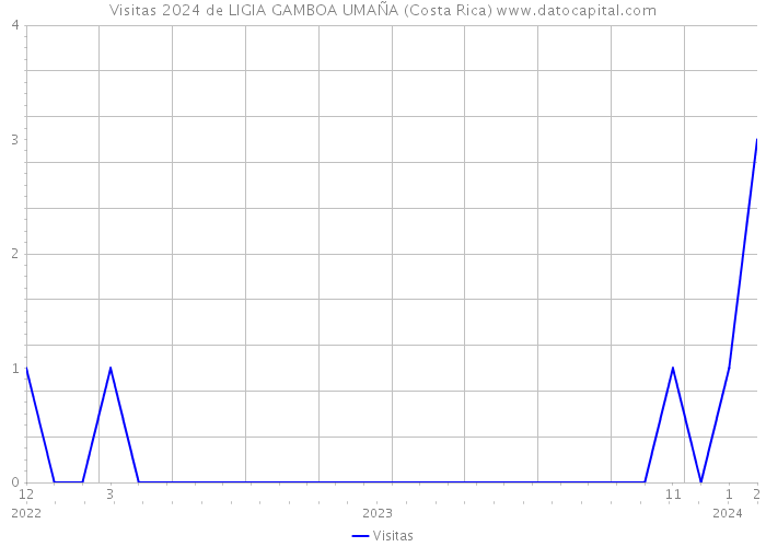Visitas 2024 de LIGIA GAMBOA UMAÑA (Costa Rica) 