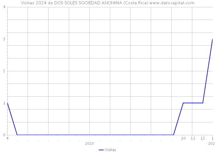 Visitas 2024 de DOS SOLES SOCIEDAD ANONIMA (Costa Rica) 