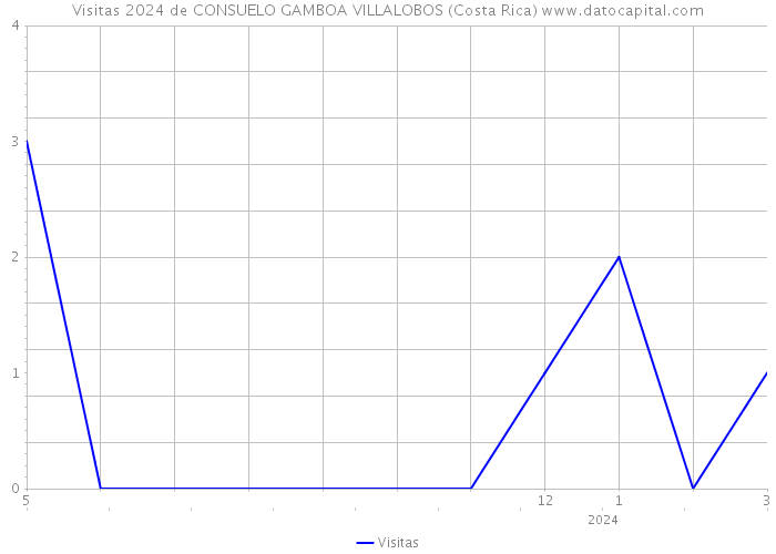 Visitas 2024 de CONSUELO GAMBOA VILLALOBOS (Costa Rica) 
