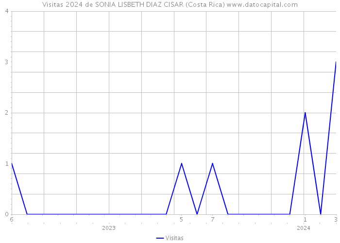 Visitas 2024 de SONIA LISBETH DIAZ CISAR (Costa Rica) 