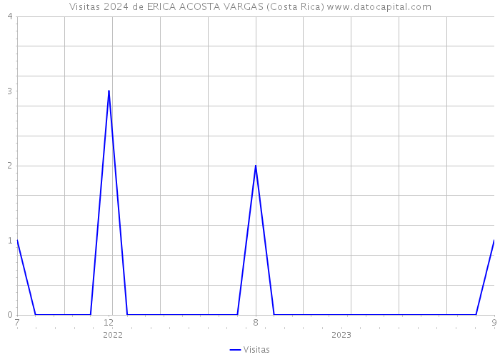 Visitas 2024 de ERICA ACOSTA VARGAS (Costa Rica) 