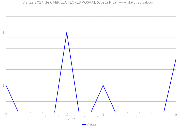 Visitas 2024 de GABRIELA FLORES ROSAAL (Costa Rica) 