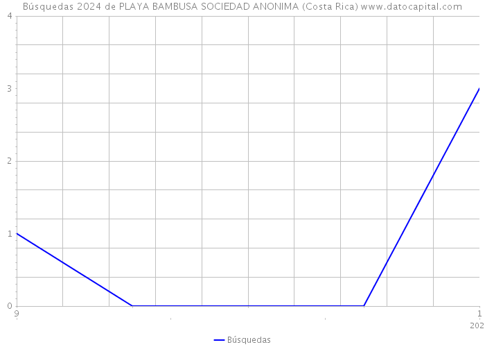 Búsquedas 2024 de PLAYA BAMBUSA SOCIEDAD ANONIMA (Costa Rica) 