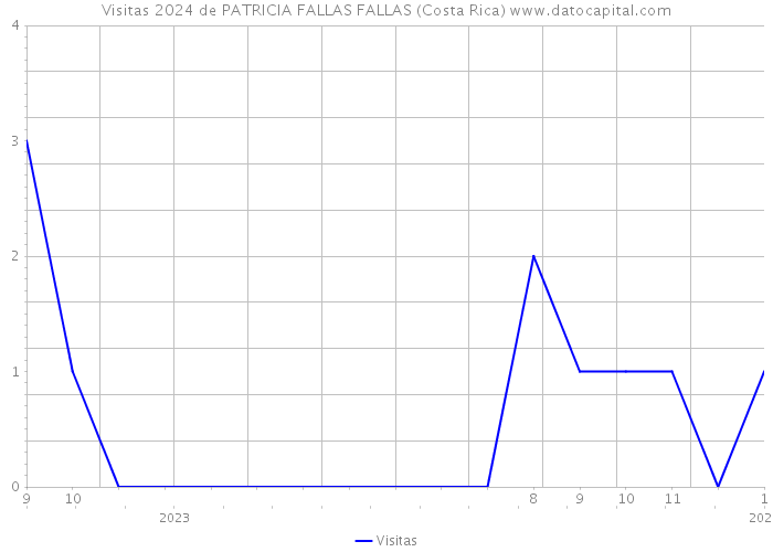 Visitas 2024 de PATRICIA FALLAS FALLAS (Costa Rica) 