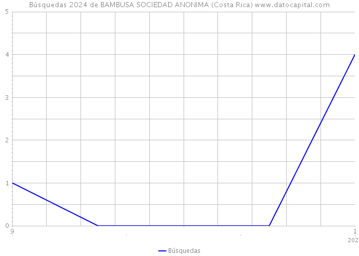 Búsquedas 2024 de BAMBUSA SOCIEDAD ANONIMA (Costa Rica) 